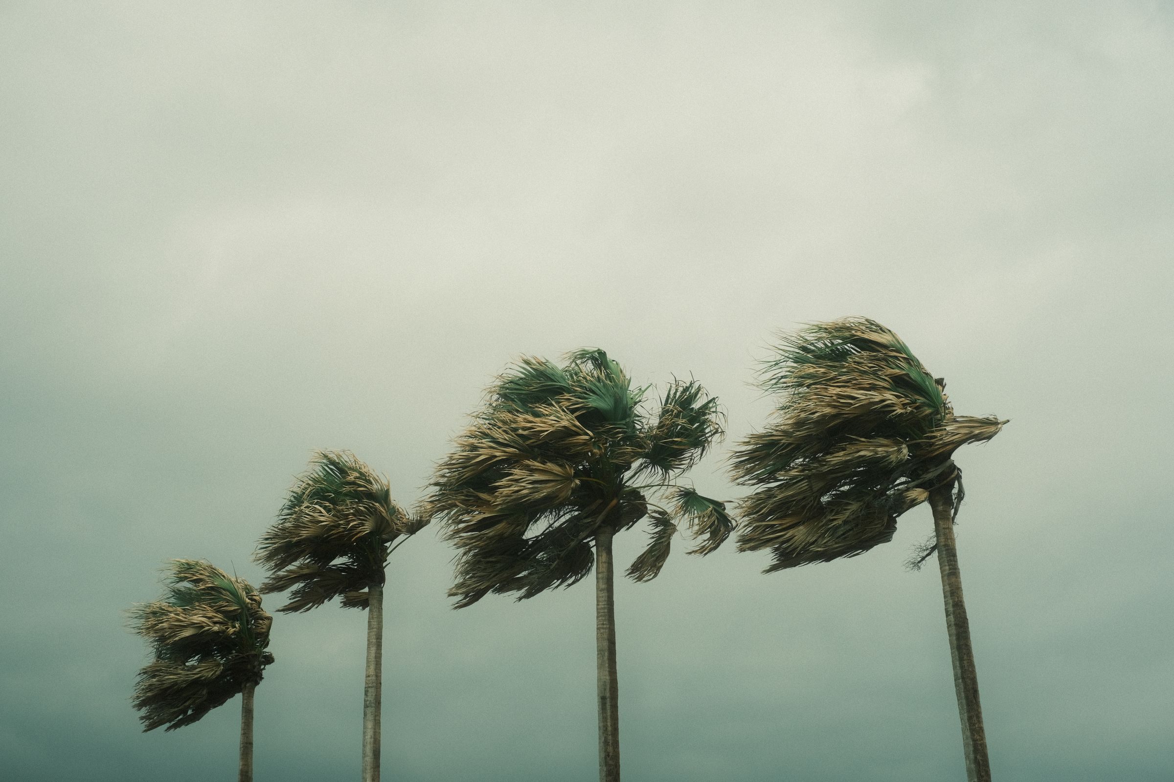 How to Connect a Generator Safely Before Hurricane Season